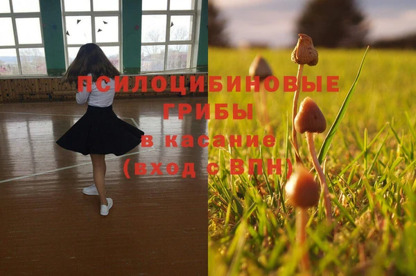 хмурый Сосновоборск