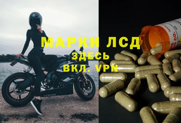 стафф Верхний Тагил