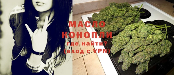 стафф Верхний Тагил